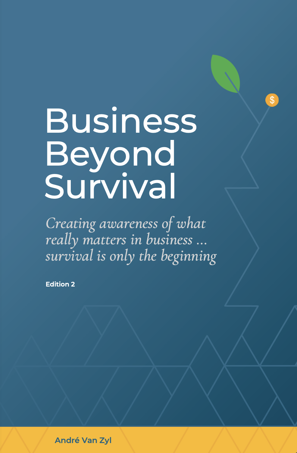 Business Beyond Survival - Second Edition - EPUB